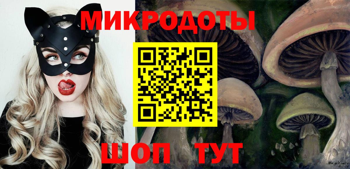 Галлюциногенные грибы Psilocybine cubensis Партизанск